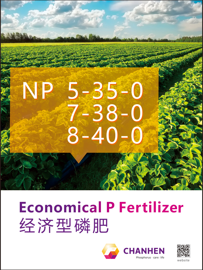 NP海報(bào)